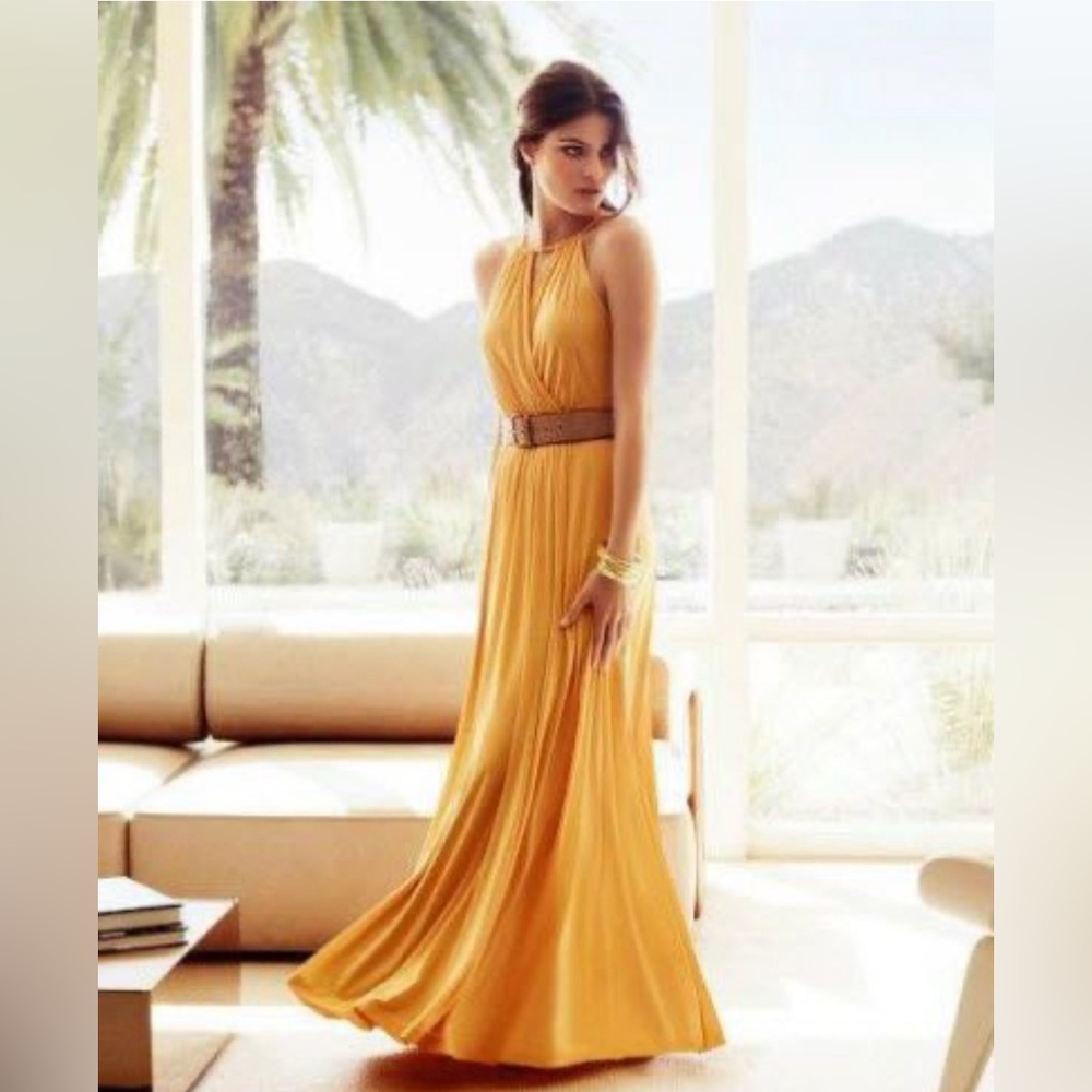 Ann Taylor Maxi Dress